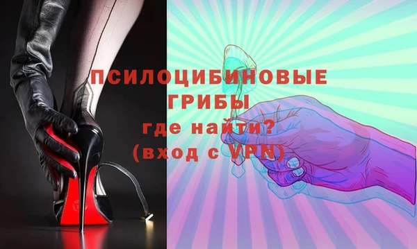 винт Армянск
